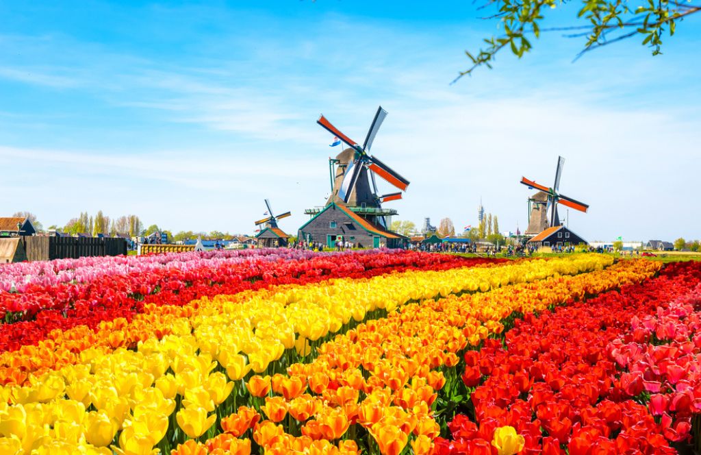 Lisse et le parc de Keukenhof à faire aux Pays bas