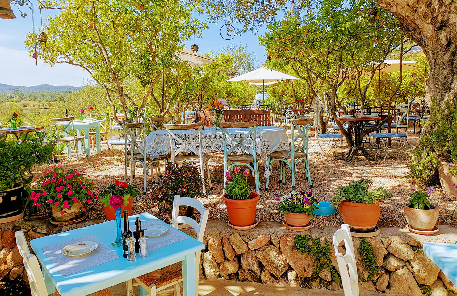 a restaurant outside in the sun in Ibiza, one the best ways to spend the weekend in Ibiza