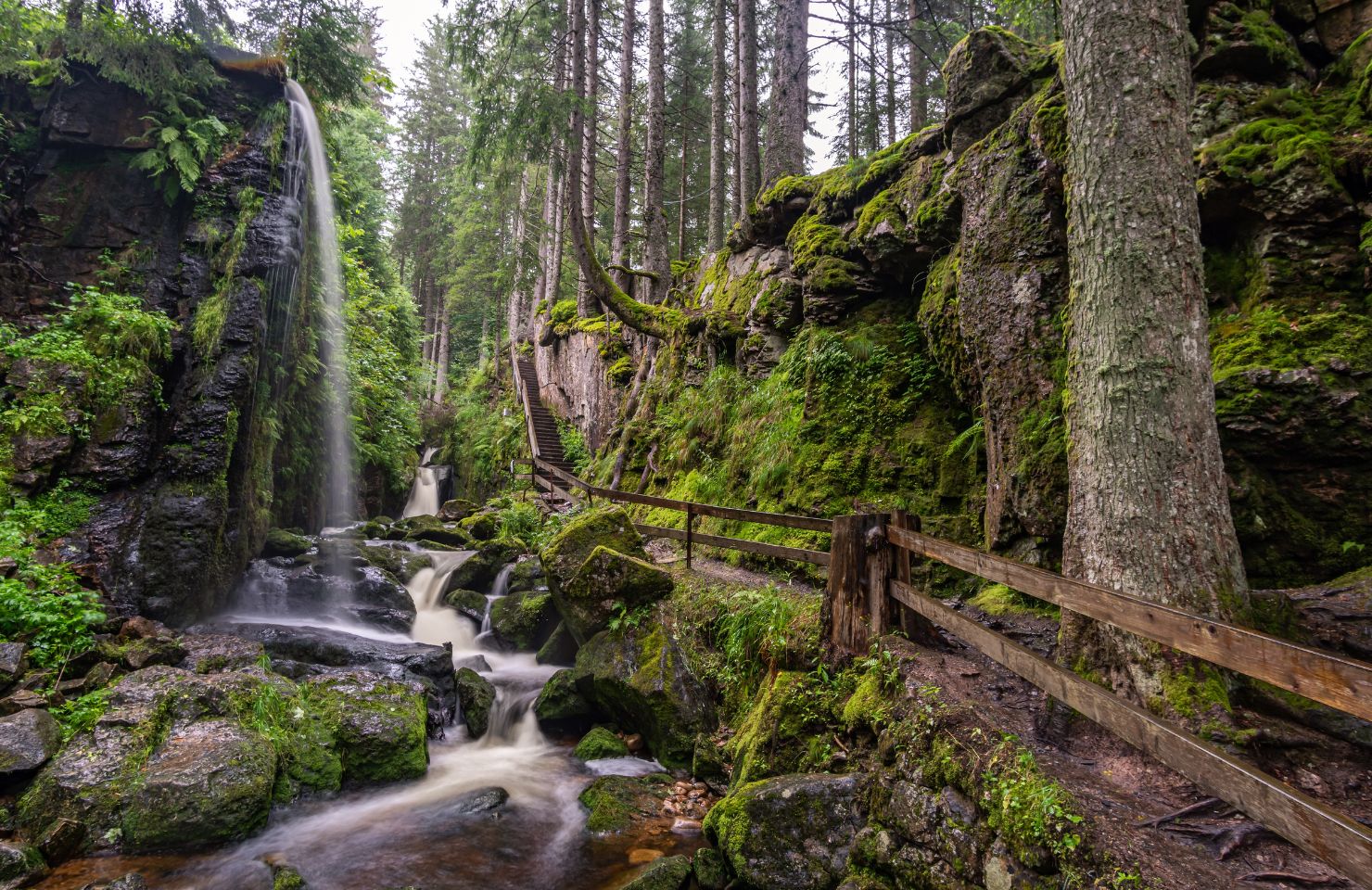 Sentier des gorges de la Forêt-Noire dans le Bade-Wurtemberg (Allemagne)