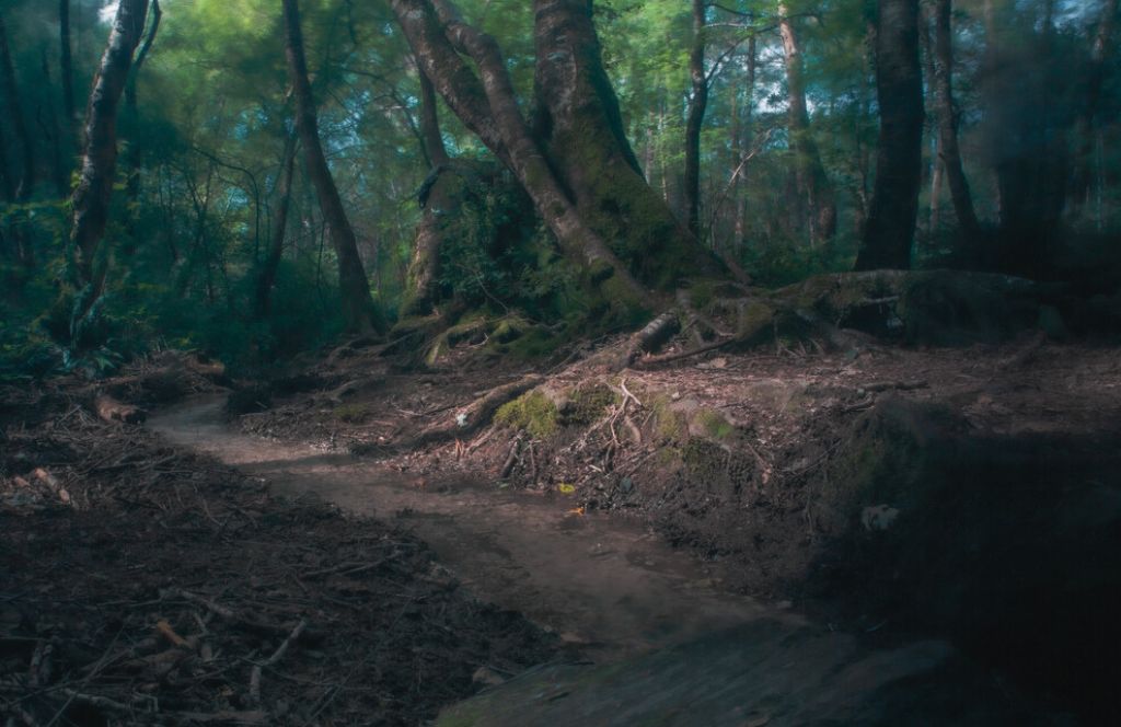 La Forêt de Brocéliande lieu hanté en France