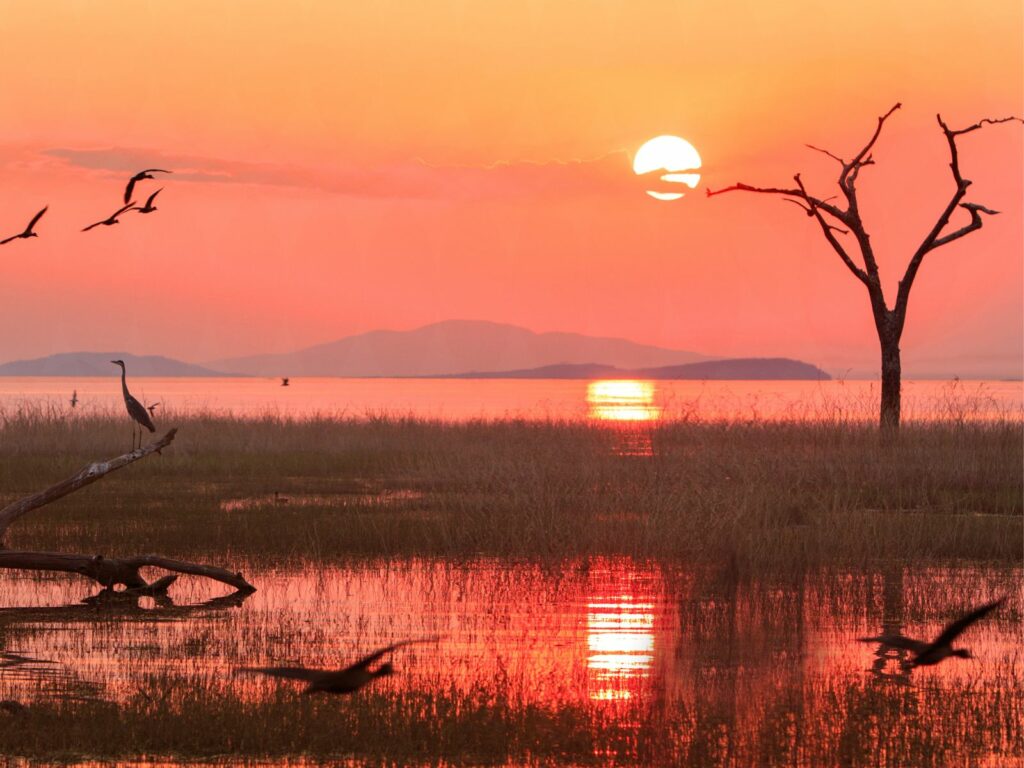 zimbabwe as a unique christmas destination