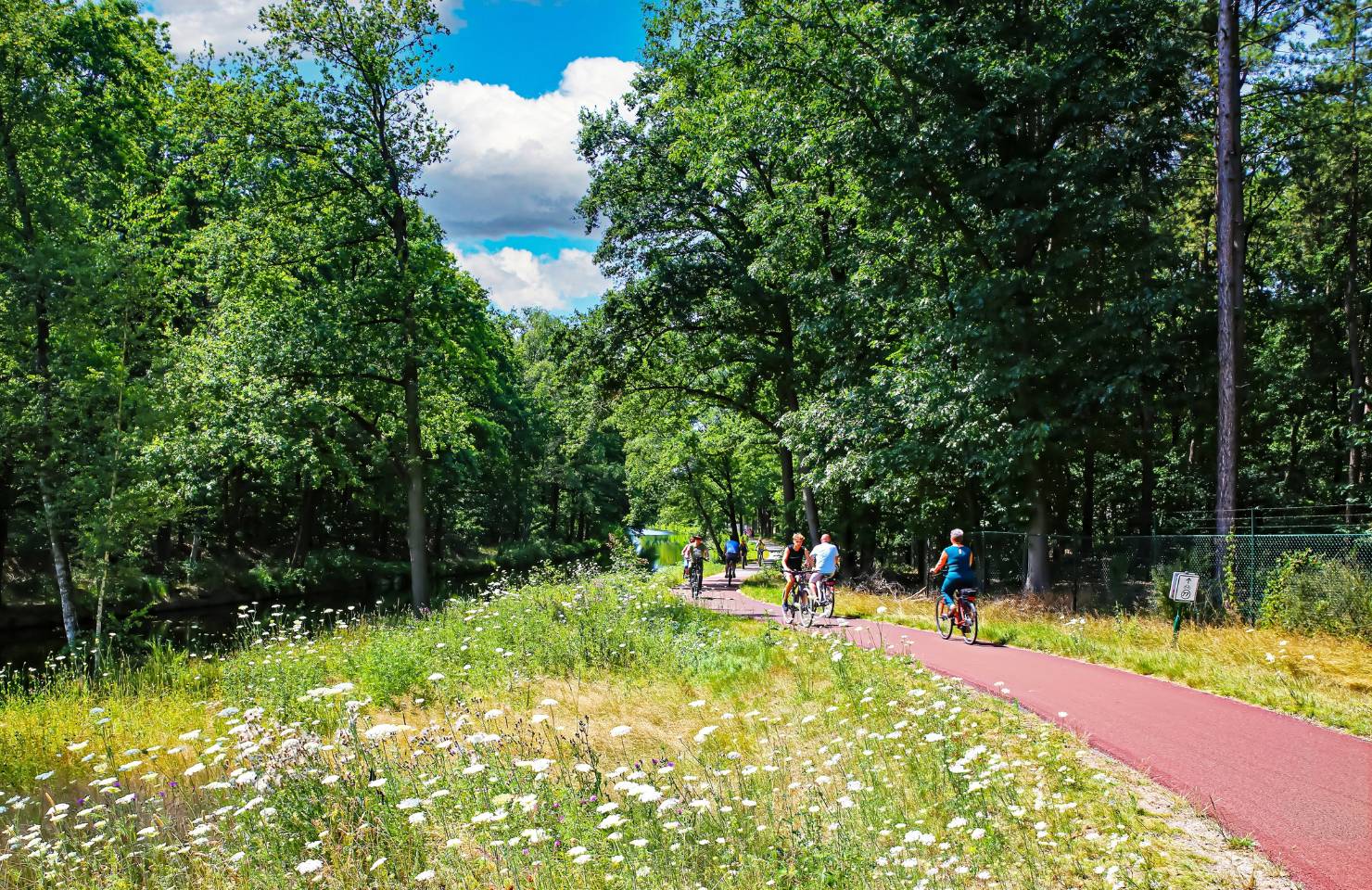 Radfahrer fahren durch eine Wiese in Eindhoven