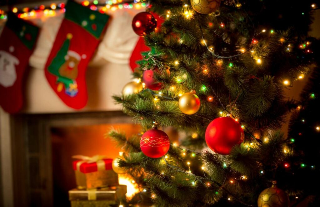 Vier Kerst in Frankrijk | Flightgift