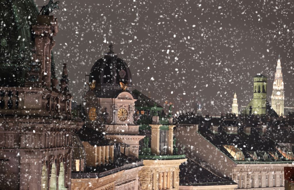 rooftops in vienna as snow falls in winter