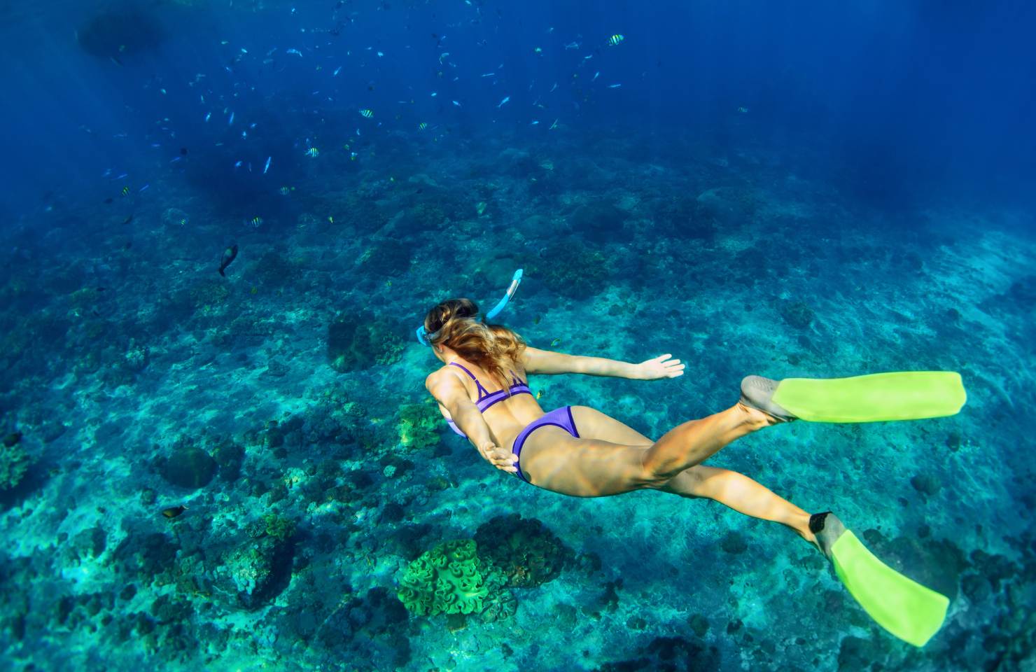 woman diving under the sea