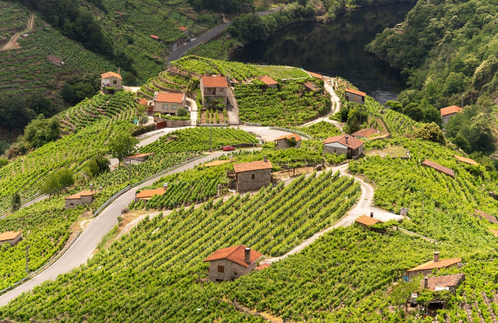 Häuser in den Weinbergen Galiziens