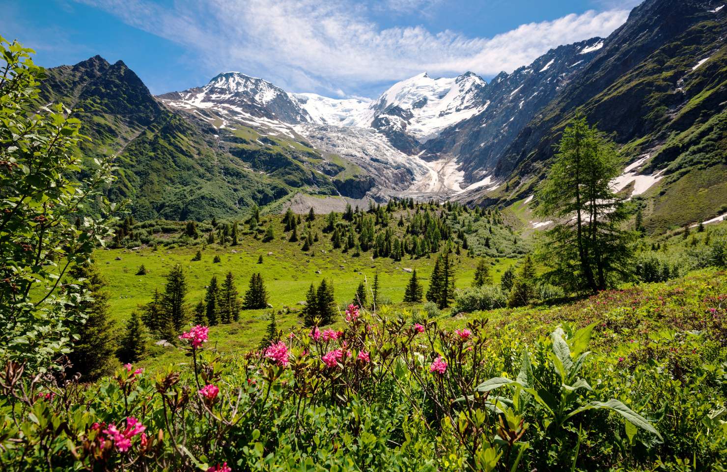 paysage de montagne au printemps 