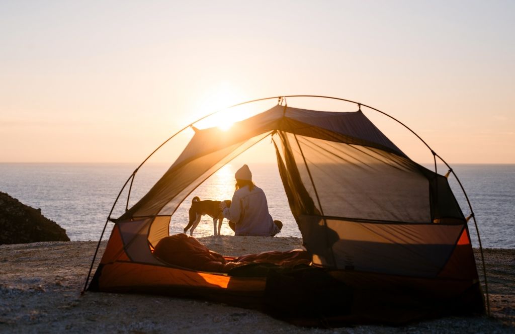 beach tent camping woman and dog
