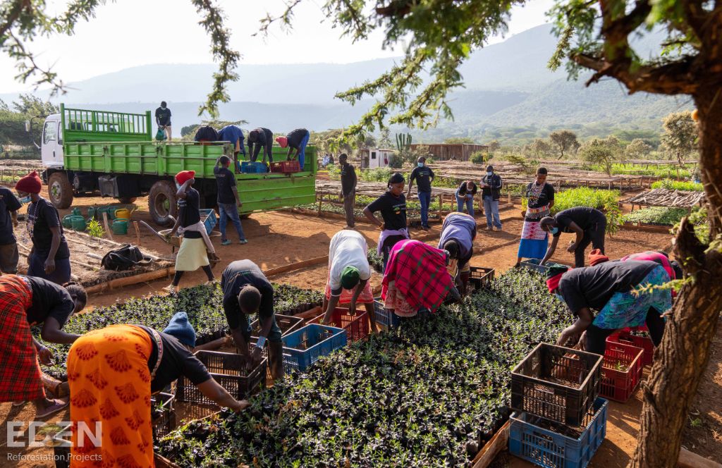 Eden Reforestation workers plant trees