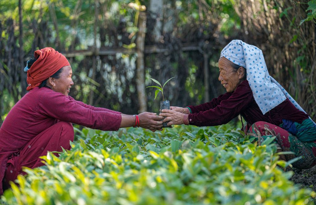 two women working together on the land