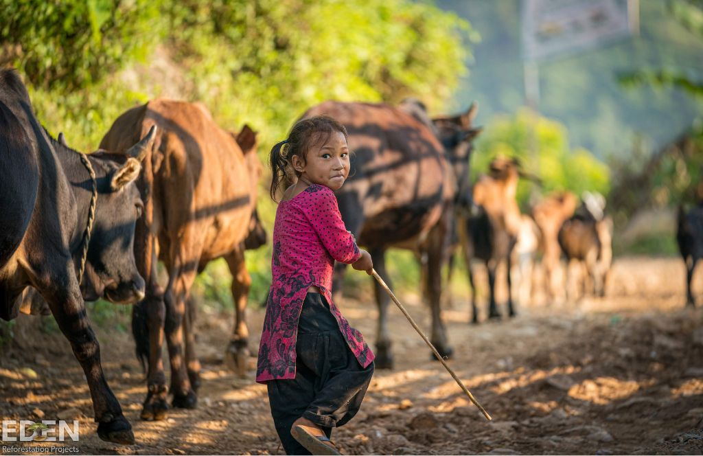 Girl walking among donkeys 