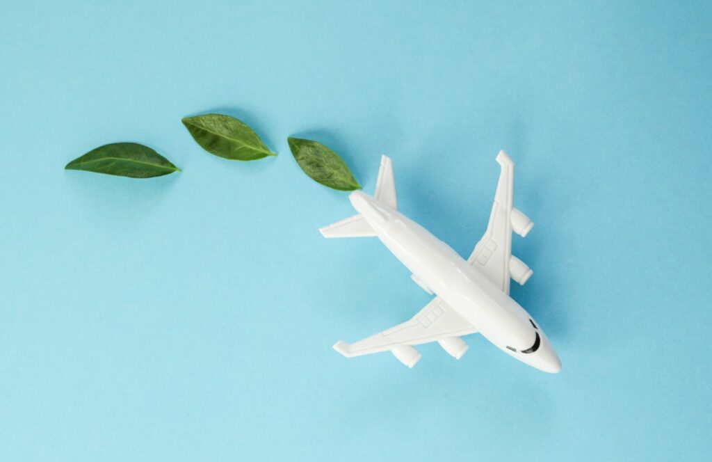 un avión con hojas como emisiones