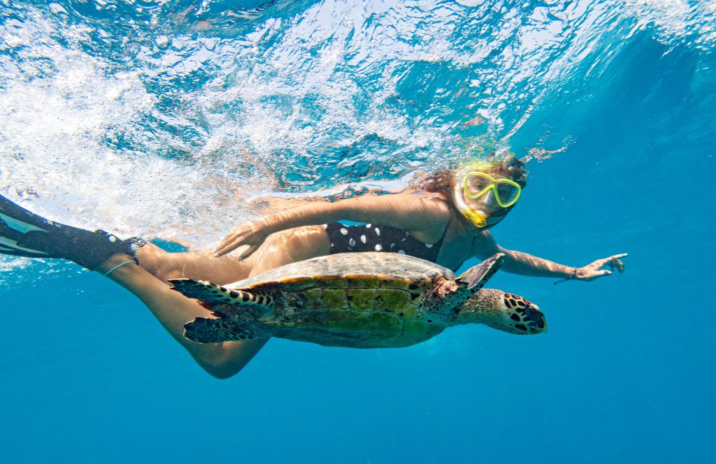 a woman on her 30th birthday holiday in the maldives swimming with a turtle