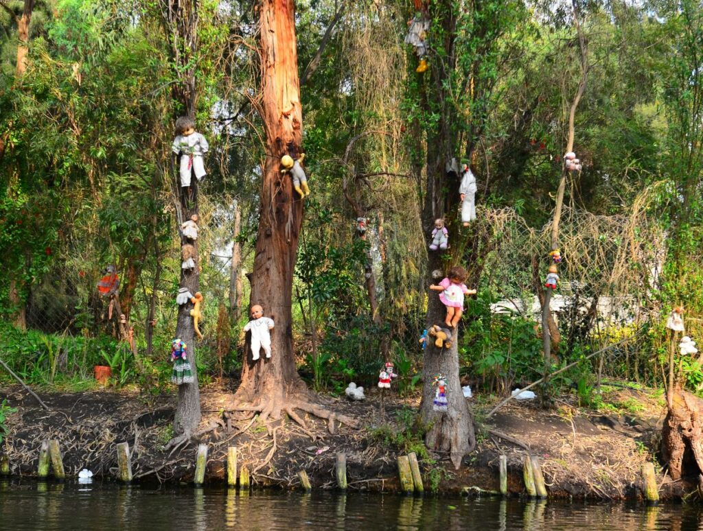 a view of the Isla de las Muñecas (Island of the Dolls), Mexico from the water displaying several dolls hanging from the trees