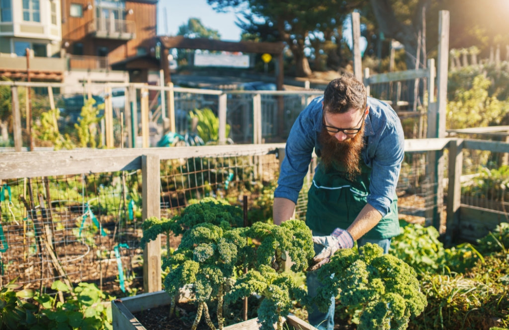 Man planting vegetables at Urban Gardening
