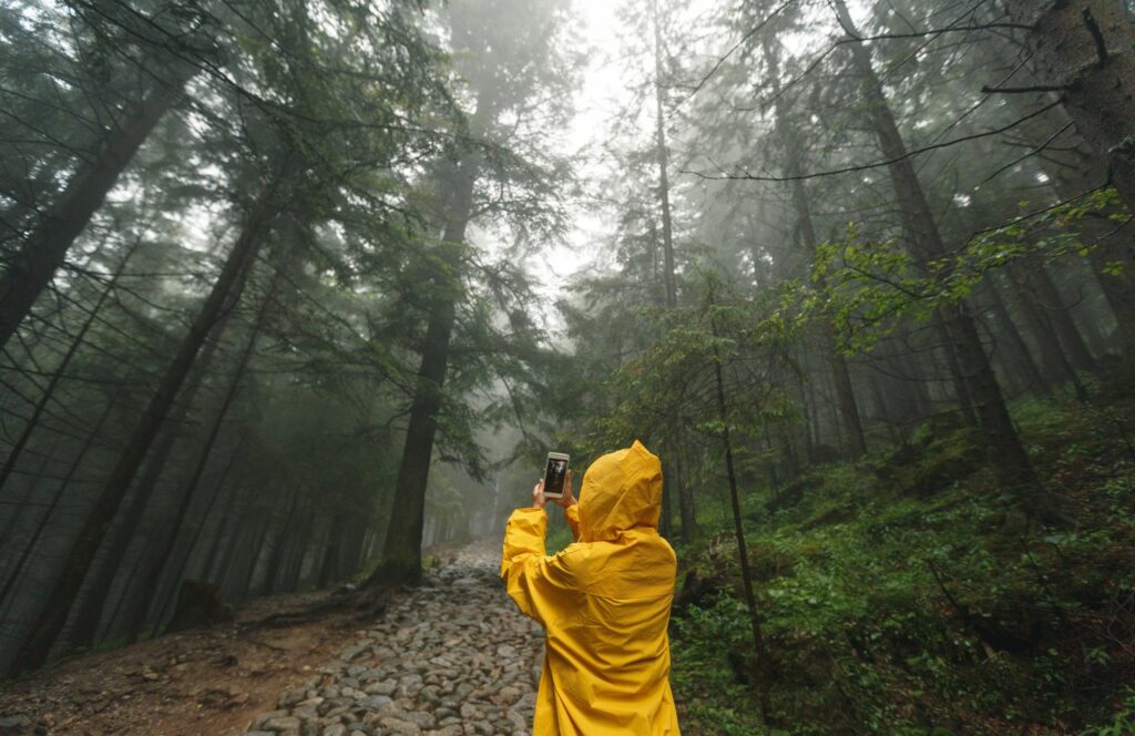 person in yellow jacket exploring the woods