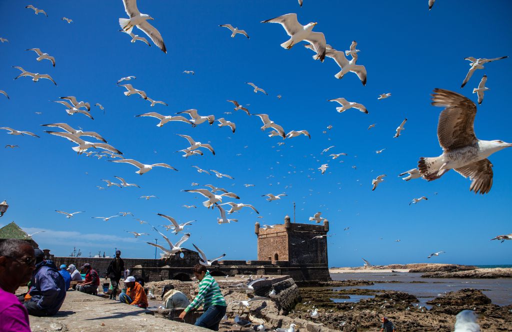 visit Essaouira on your holidays to marrakech