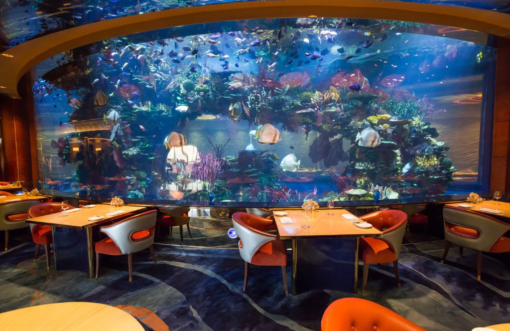 dine in dubai's underwater restaurant as one of the best honeymoon destinations