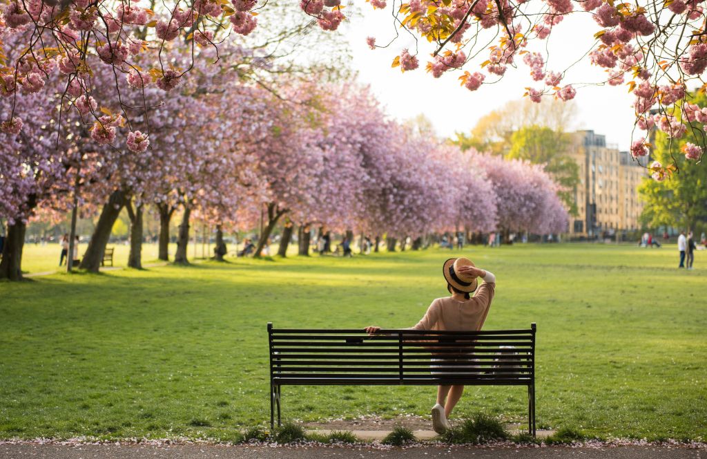 a woman sits on a bench during her weekend in edinburgh