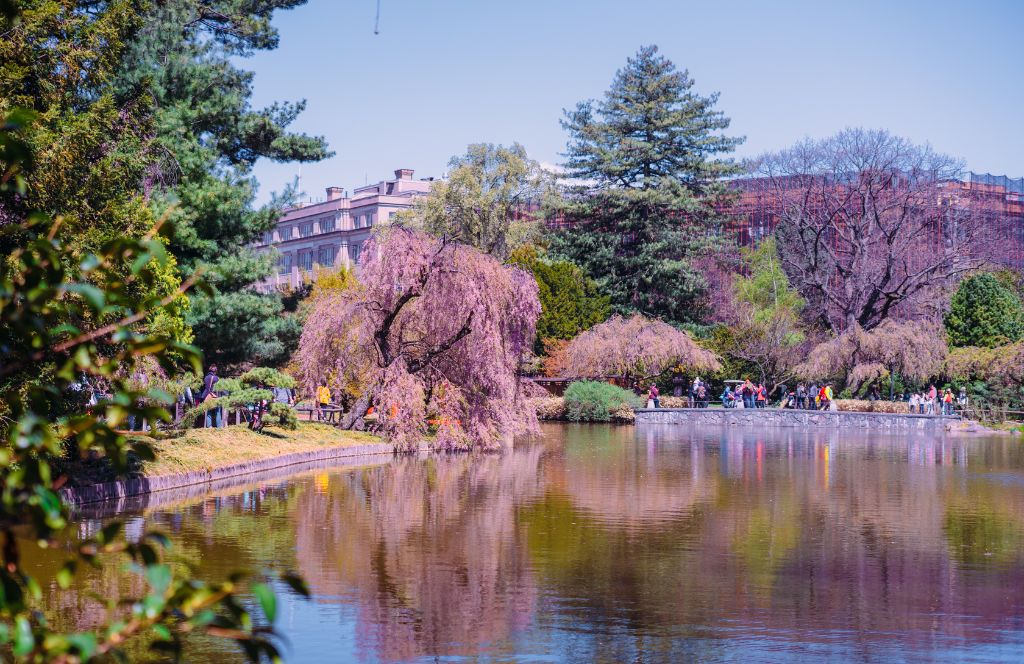 brooklyn botanic garden - a must visit during your weekend in new york
