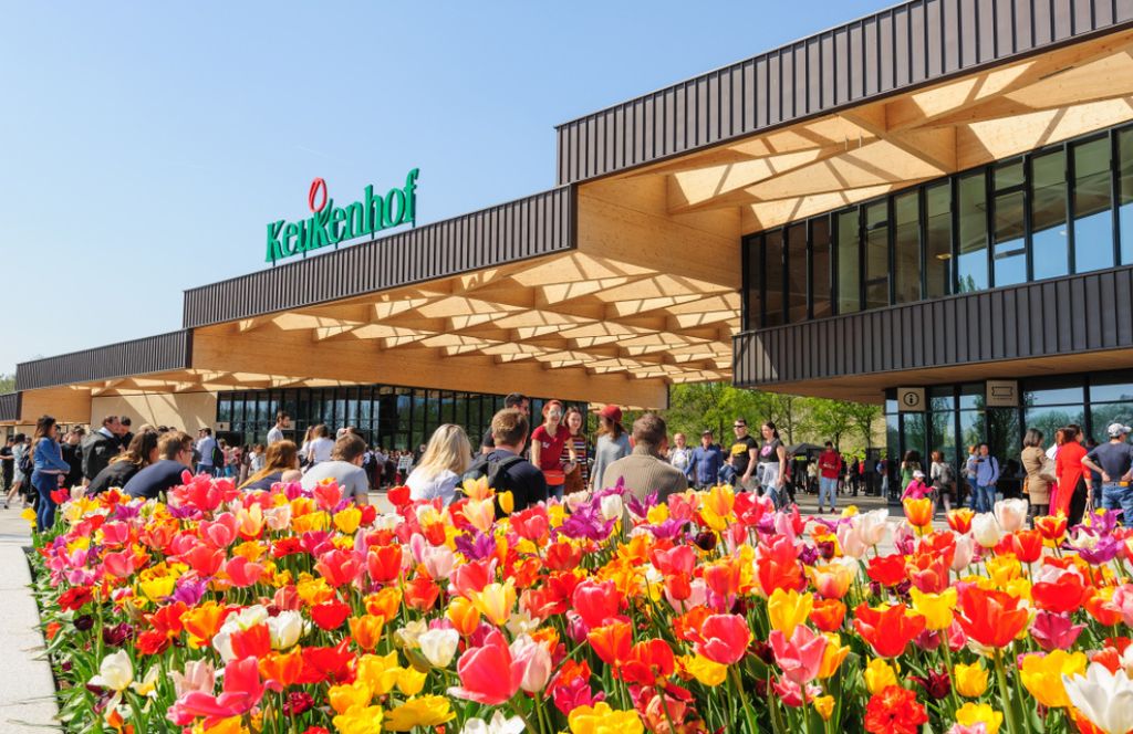 Comment aller à Keukenhof