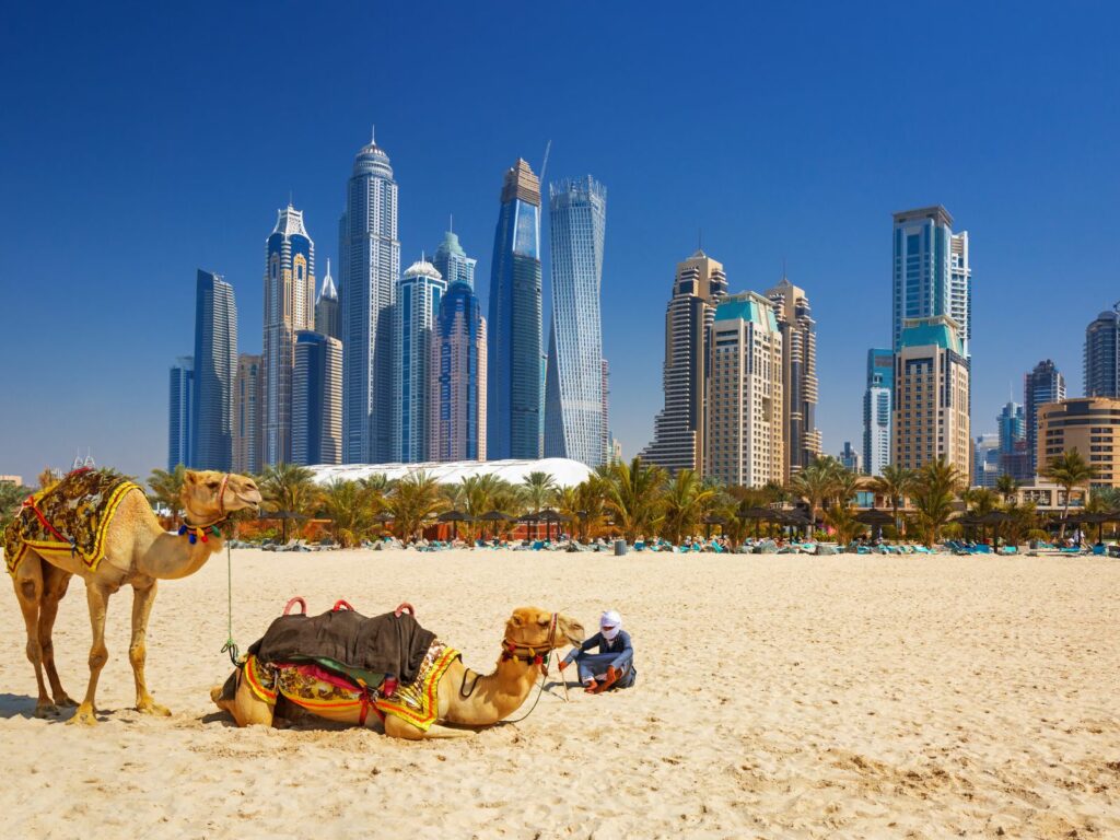 a camel during your dubai family holidays