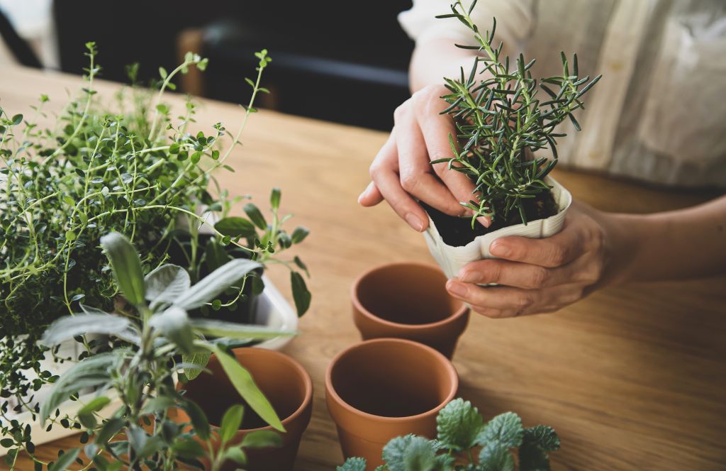 a woman create a herb garden for her mothers day gift