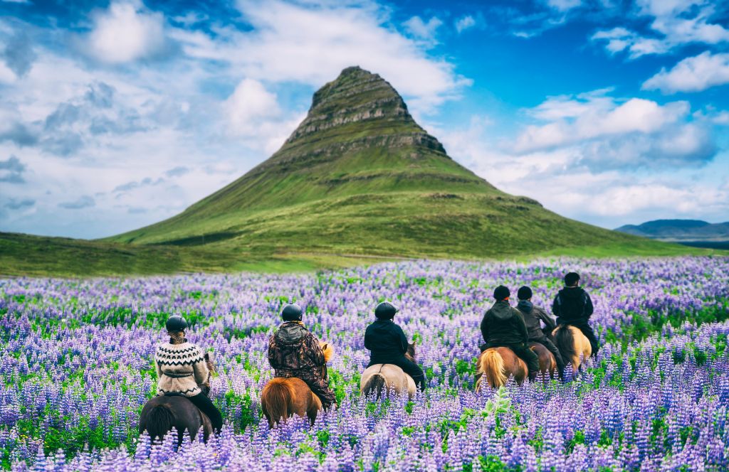 people horse riding in iceland during their weekend getaway