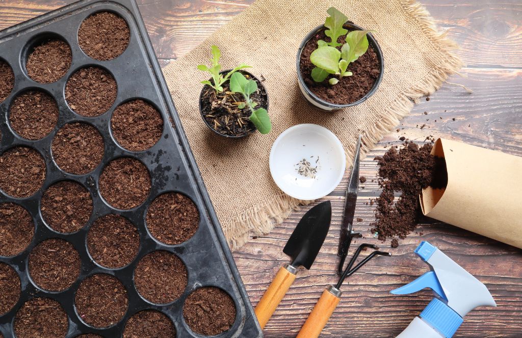 a seed packet is a must have item for your thank you hamper