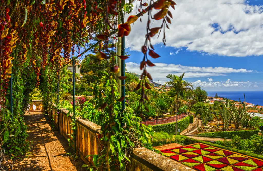 the botanical garden in Funchal 1st stop Madeira tour