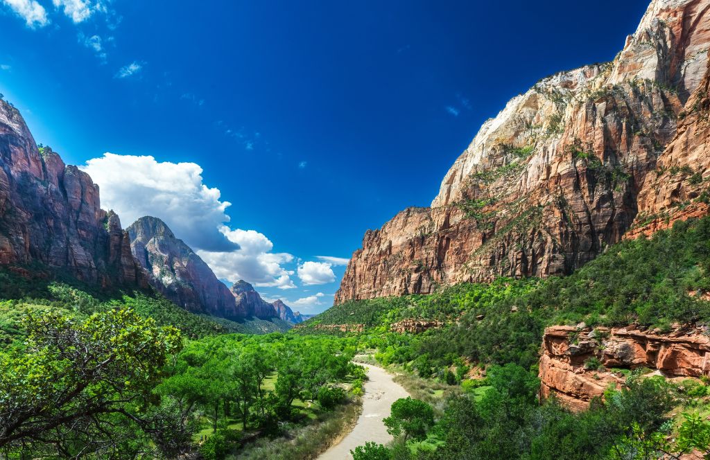 Zion National Park 