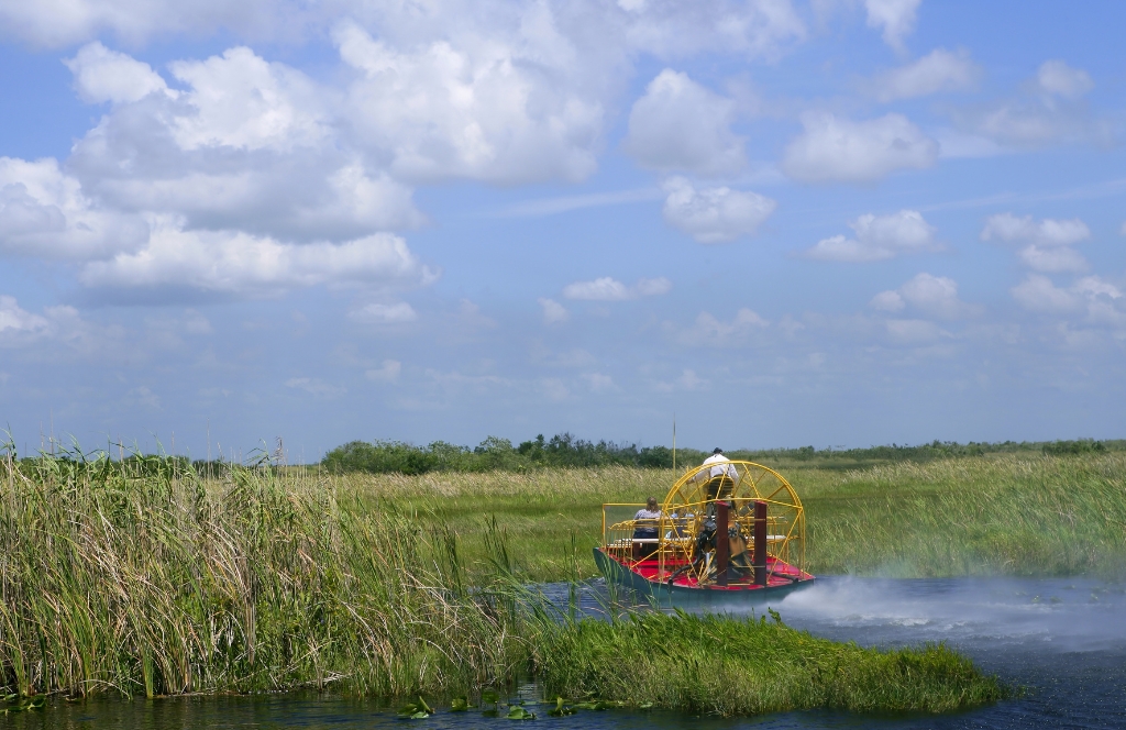 Everglades National Park Best Places to Visit in Florida
