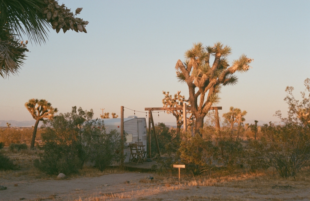 Joshua Tree National Park, CA Best Places to Visit in California