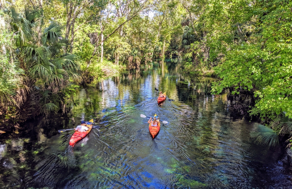 Silver Springs Best Places to Visit in Florida