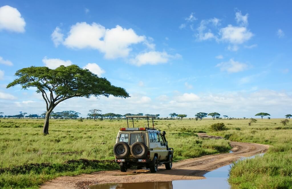 Ein Geländewagen in den grünen Ebenen der Serengeti