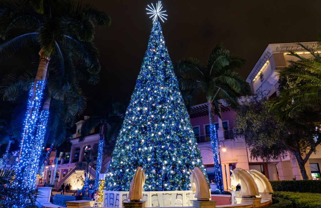 Christmas Lights Christmas in Miami