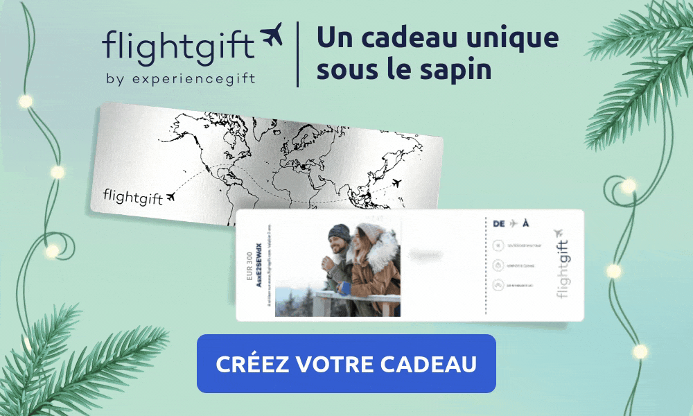 Une carte cadeau billet d'avion à offrir pour Noël pour un voyage