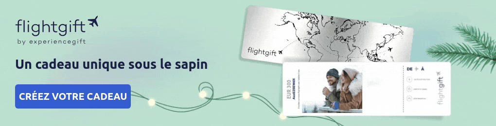 Une carte cadeau billet d'avion à offrir pour Noël pour un voyage