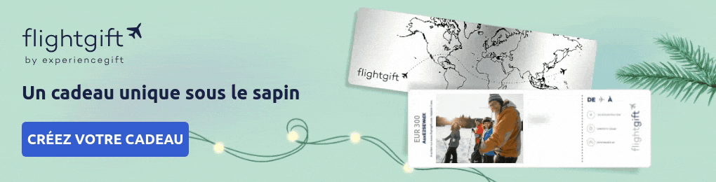 une carte cadeau billet d'avion à offrir à votre famille pour Noël