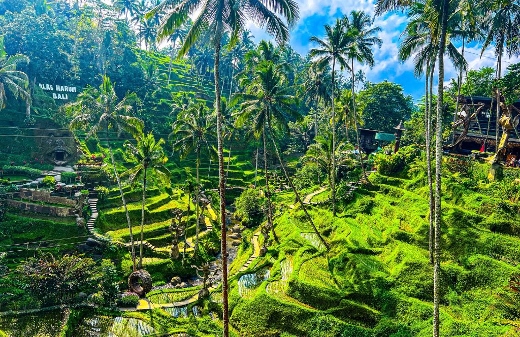 one of the best months to visit bali is november when the scenery becomes lush and green