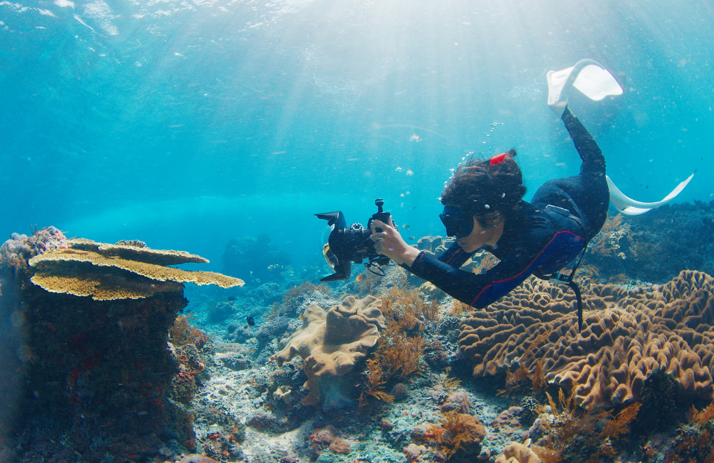 the best time to visit bali is november to go scuba diving