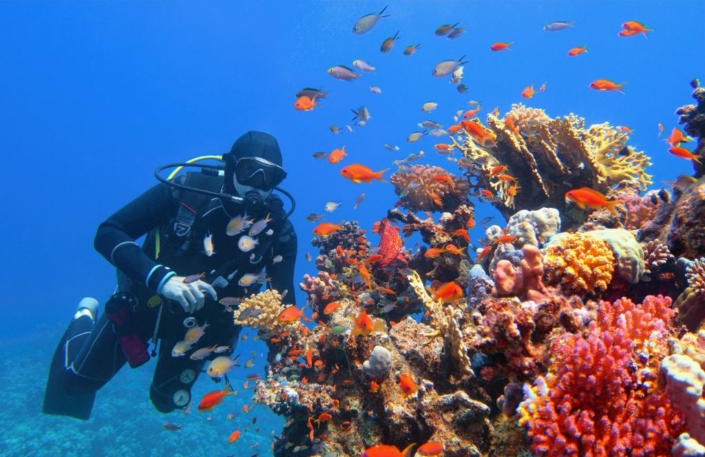 one of the best places to visit in australia​ in december is cairns