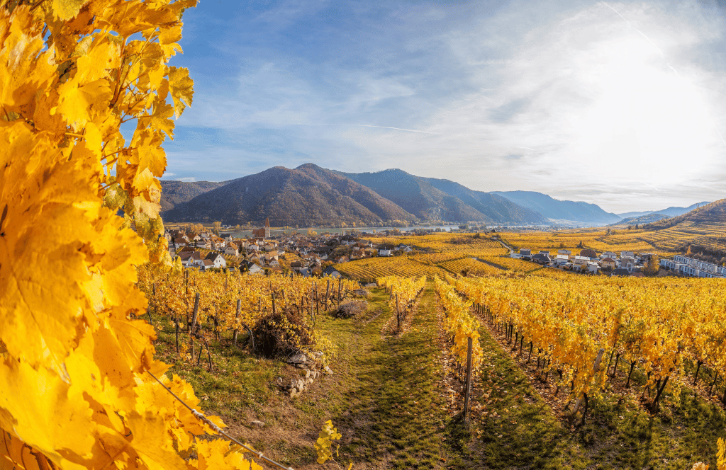Dürnstein austria is best to visit in autumn