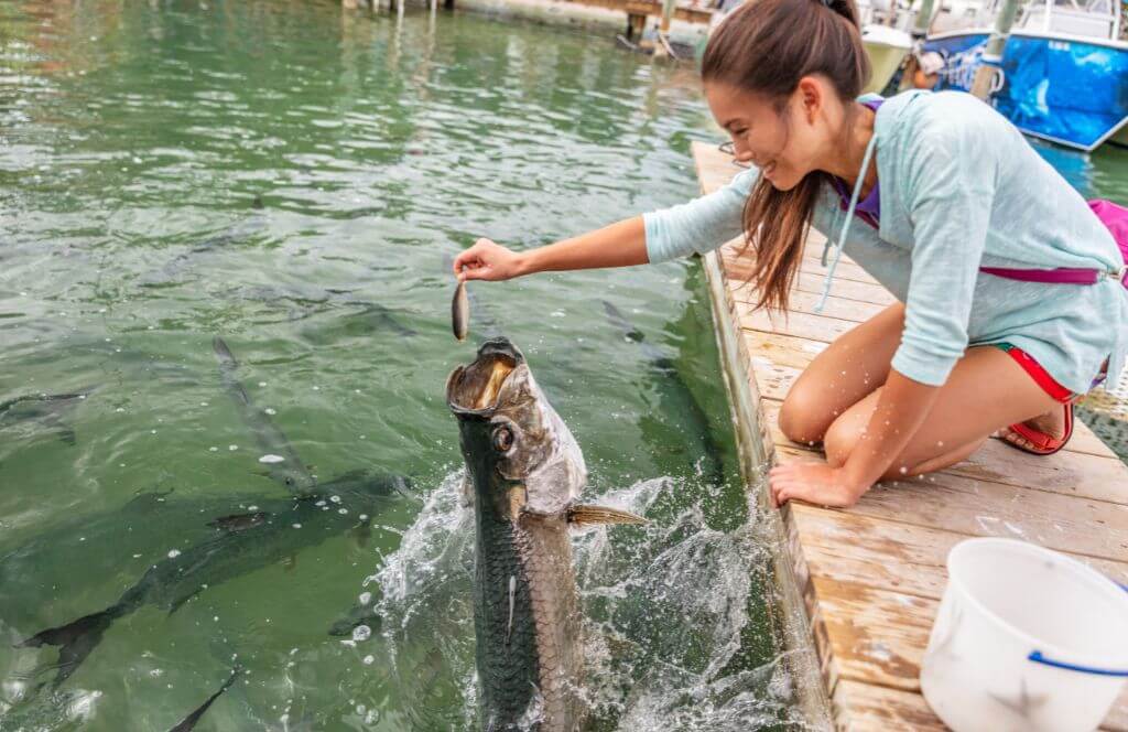 Places to go for Spring break Key West, Florida