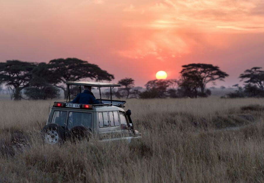 Südafrika ist eines der besten Fernreiseziele im August