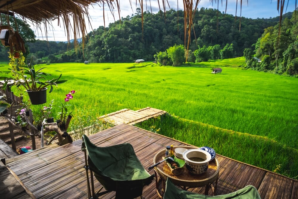Lush green rice fields with seating in Chiang Mai - Thailand