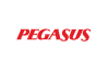 Pegasus
