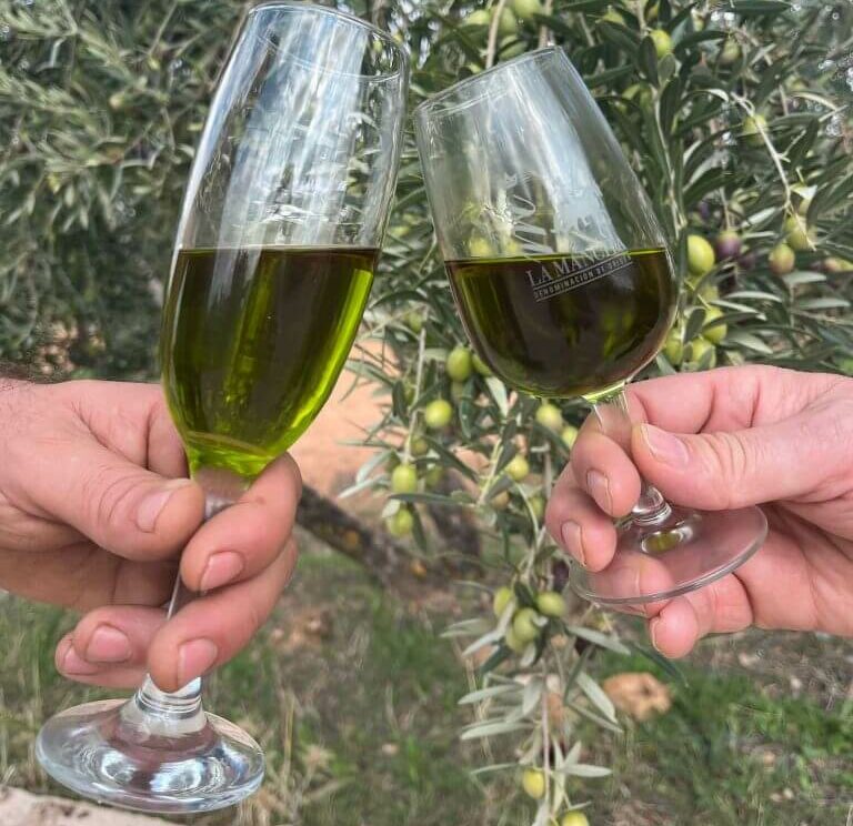 Suscripción a una almazara para tener el mejor aceite de oliva