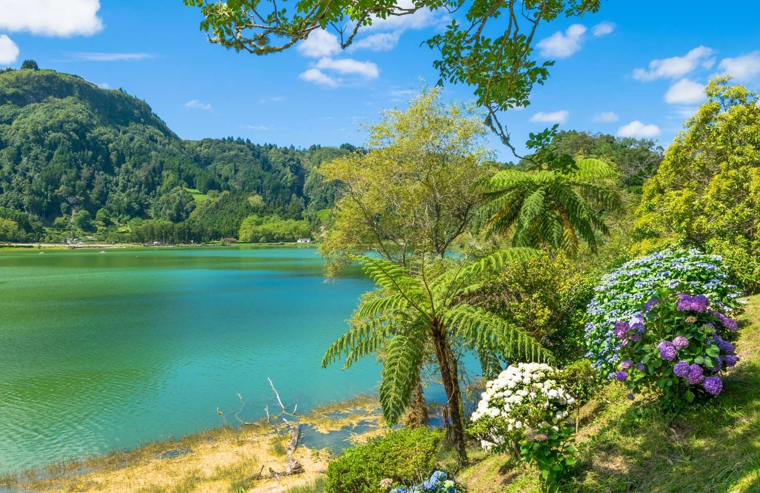 lake in Portugal